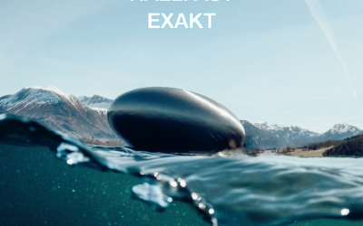 SBI annonserar i DI – läs mer om budskapet